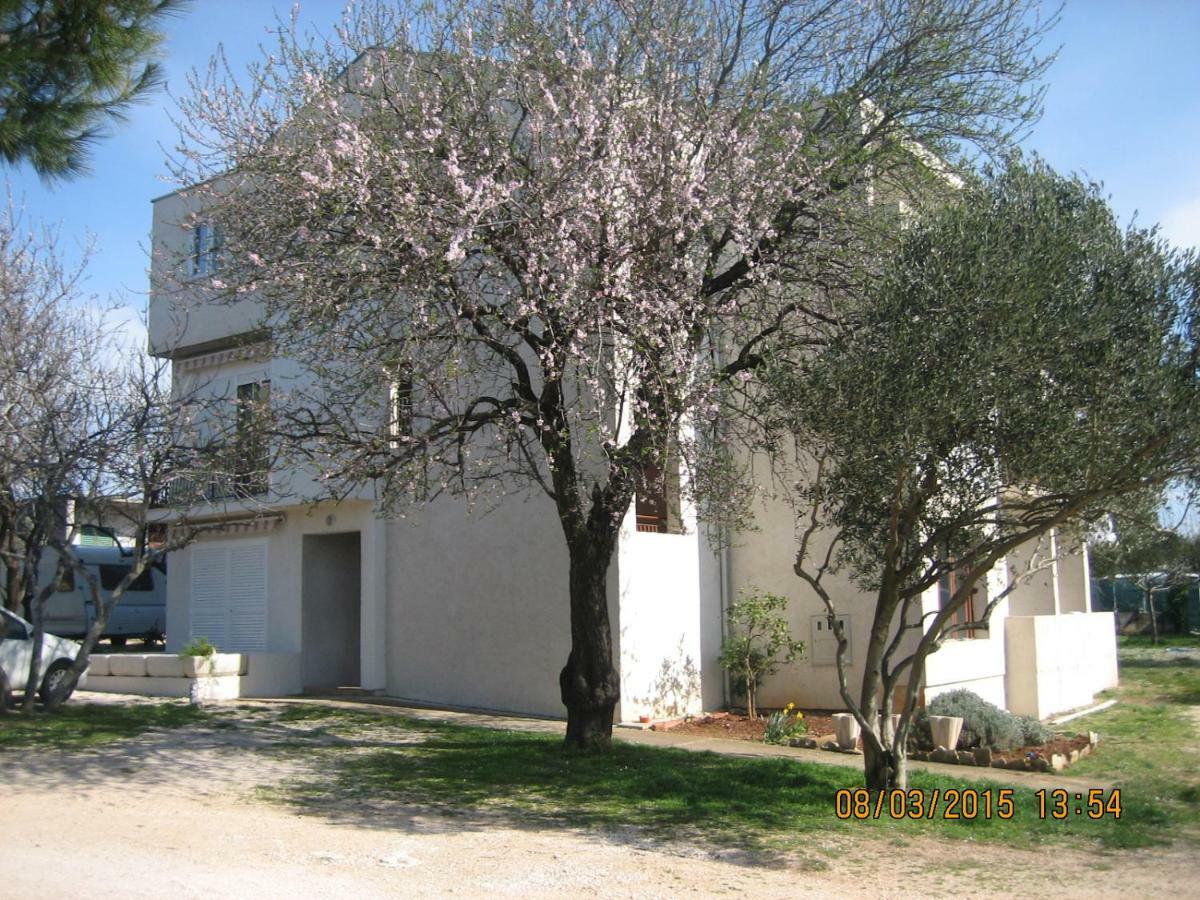 Crancina Apartment Sveti Filip i Jakov Exterior foto